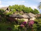 chateau des feuilles