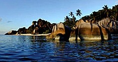 Albizia Lodge