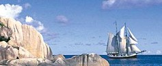 SeaPearl