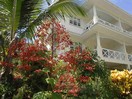 La Villa