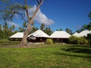 Bird Island Lodge